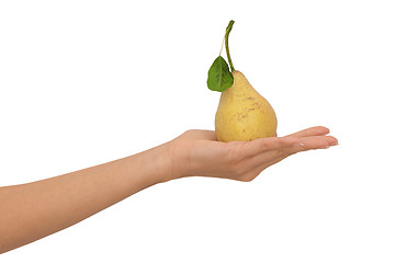 Image showing yellow pear