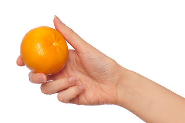 Image showing tangerine