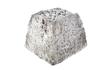 Image showing goat cheese Valencay