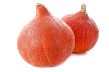 Image showing Red kuri squash