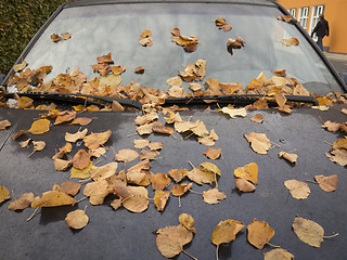 Image showing Autumn morning in city