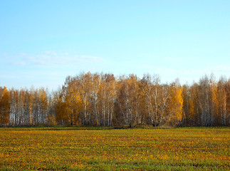 Image showing autumn