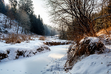 Image showing Sunny morning in winter landscape