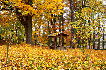 Image showing Autumn in park with yellow leaves on ground