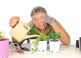 Image showing Watering Can Nurseryman