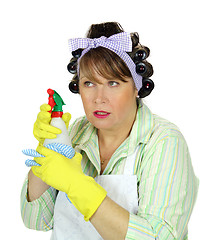 Image showing Spraying Housewife