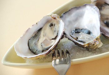 Image showing Natural Oysters