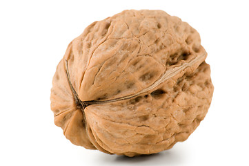 Image showing Walnut