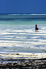 Image showing masai in zanzibar