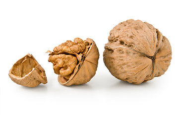 Image showing Walnut