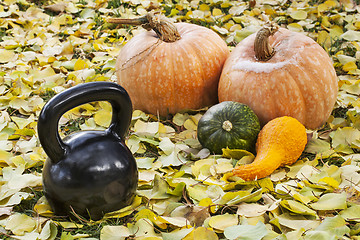 Image showing iron kettlebell and pumpkin