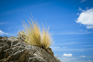 Image showing stone grass blue sky