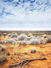 Image showing outback