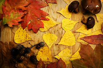 Image showing Leaves on a board