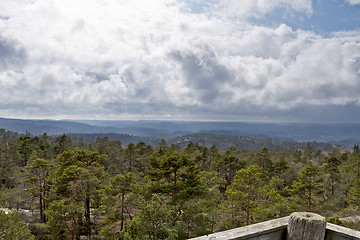 Image showing view over forest with cloudy sky