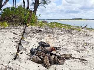 Image showing Mafia Island