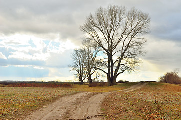 Image showing autumn landscape