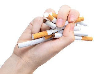 Image showing broken cigarettes