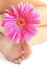 Image showing Flower and Feet