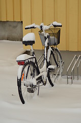 Image showing Bike in snow