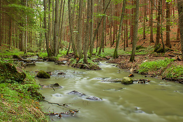 Image showing small creek