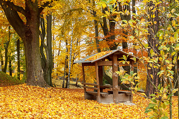 Image showing Autumn in park with yellow leaves on ground