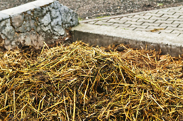 Image showing dung heap 