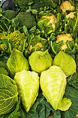 Image showing white kale at a farmer market