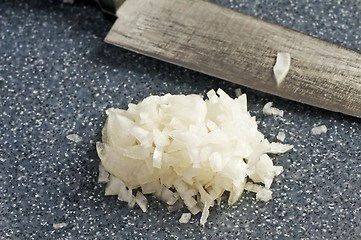 Image showing sliced onion