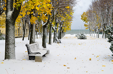 Image showing Alley in the Park later in the autumn. Snow storm 