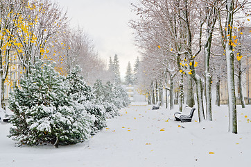 Image showing Alley in the Park later in the autumn. Snow storm 