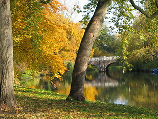 Image showing trees and water