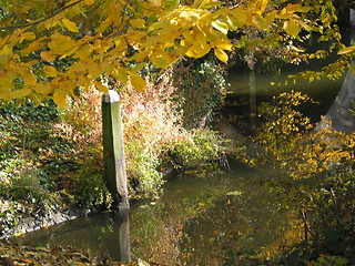 Image showing Water surrounded by autumn