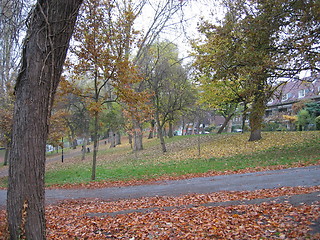 Image showing autumn in park