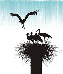 Image showing Family of storks in nest