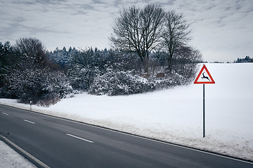 Image showing winter road