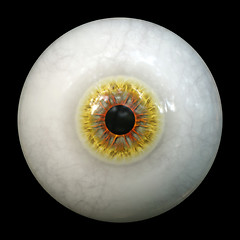 Image showing halloween eye