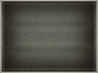 Image showing Black mock croc or alligator skin background with stitched frame