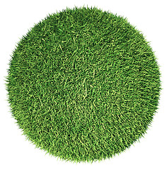 Image showing Environment: green fresh grass globe or planet isolated