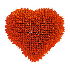 Image showing Dangerous love: sharp acidotus heart shape