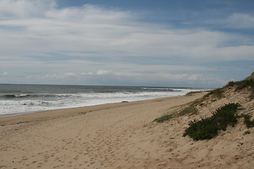 Image showing coast in the summer