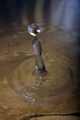 Image showing transparent drops of water, nice beautiful background photo