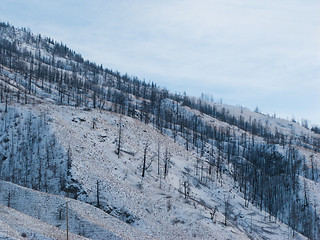 Image showing Snowy hillside in Kamloops BC