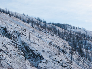 Image showing Snowy hillside in Kamloops BC