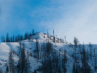 Image showing Snowy hillside in Kamloops BC