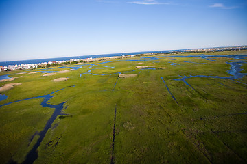 Image showing Aerial view of green field