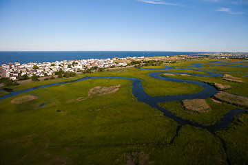 Image showing Aerial view of green field