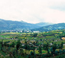 Image showing Pasture in Ecuador