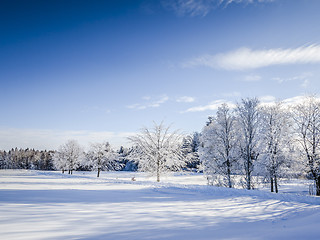 Image showing winter scenery