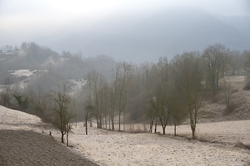 Image showing Icy winter scene